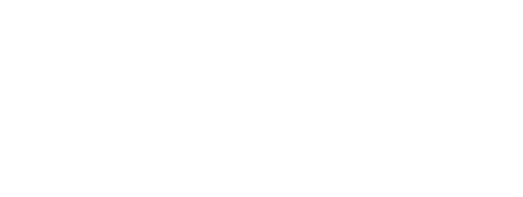 Levels Agency